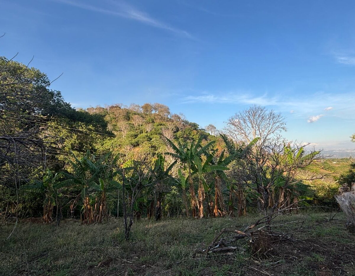 Homes for sale in Atenas Costa Rica