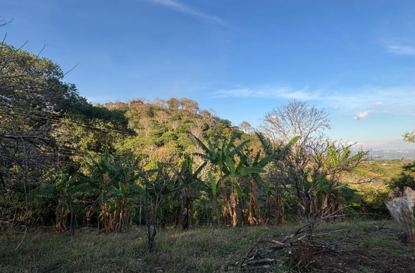 Homes for sale in Atenas Costa Rica