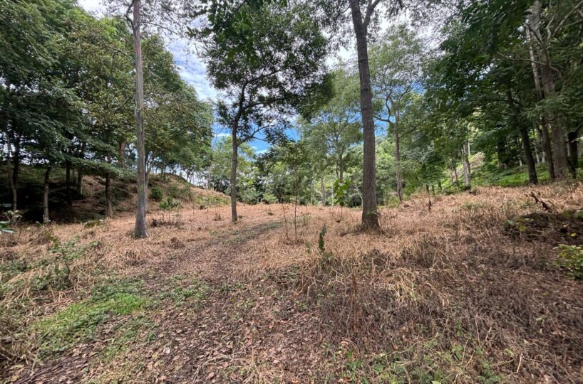 Building Lots for sale in Atenas Costa Rica