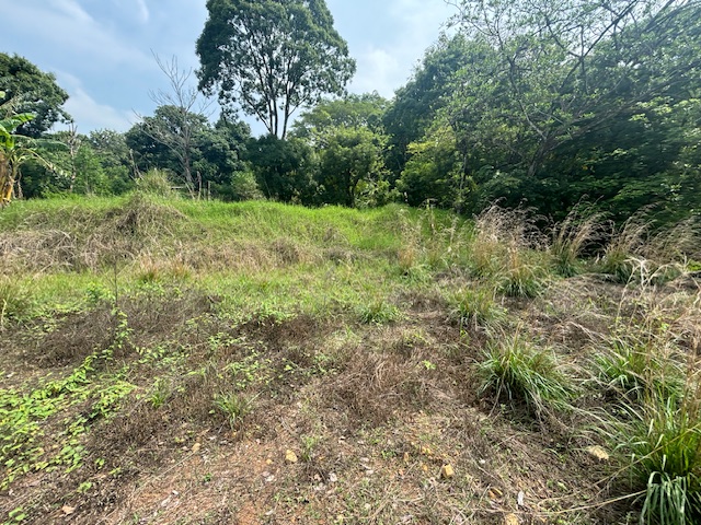 Building Lots for sale in Atenas Costa Rica