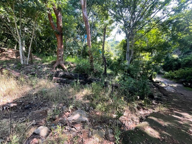 Building Lots for sale in Atenas Costa Rica