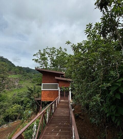 Homes for sale in Atenas Costa Rica