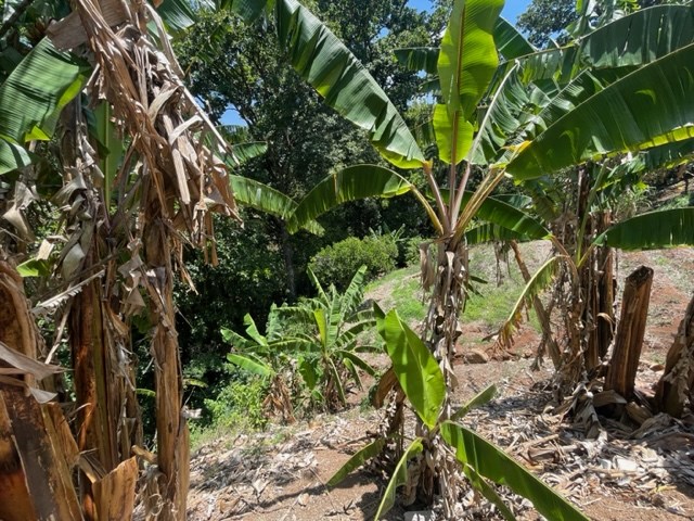 Building Lots for sale in Atenas Costa Rica