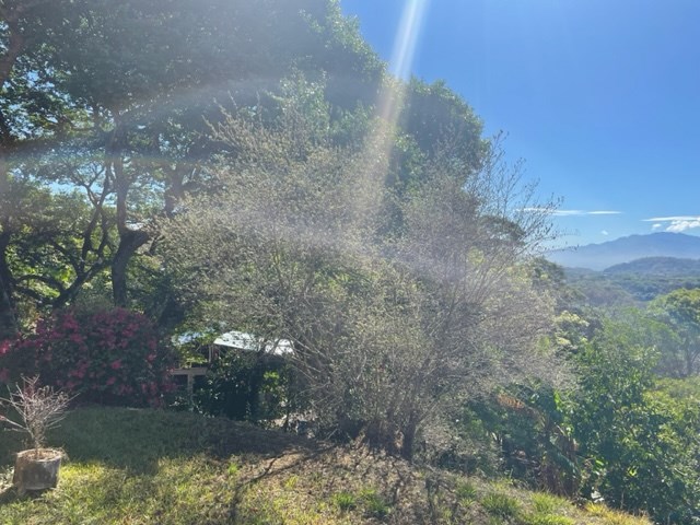 Homes for sale in Atenas Costa Rica