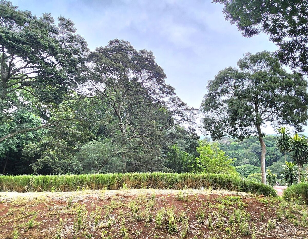 Building Lots for sale in Atenas Costa Rica