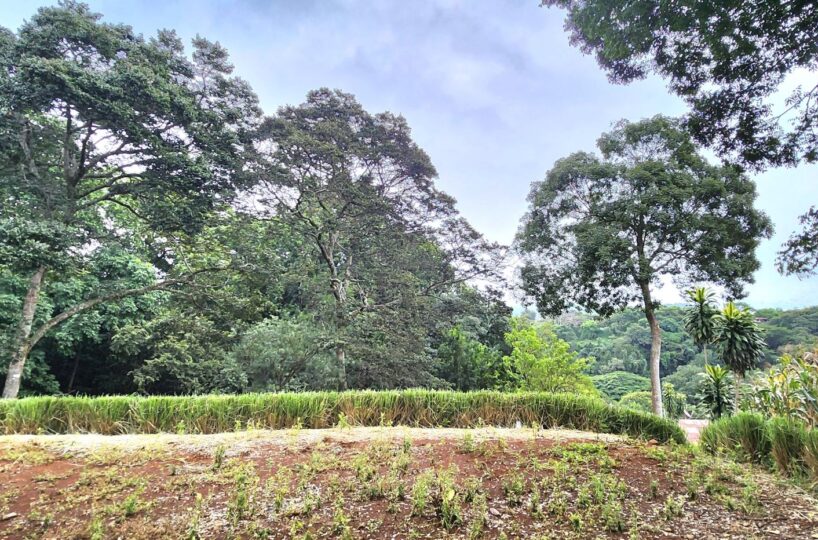 Building Lots for sale in Atenas Costa Rica