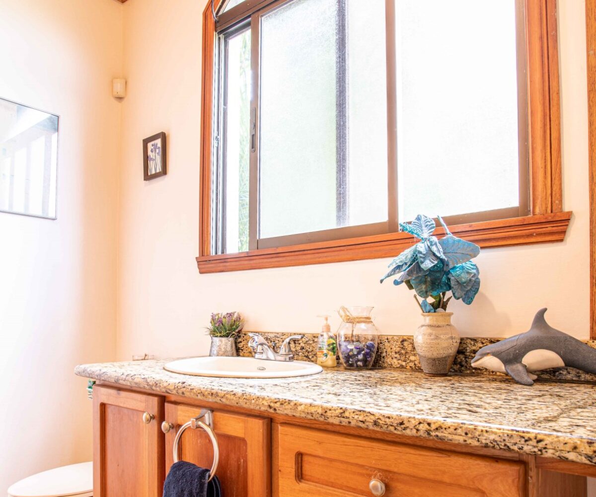 Homes for sale in Atenas Costa Rica