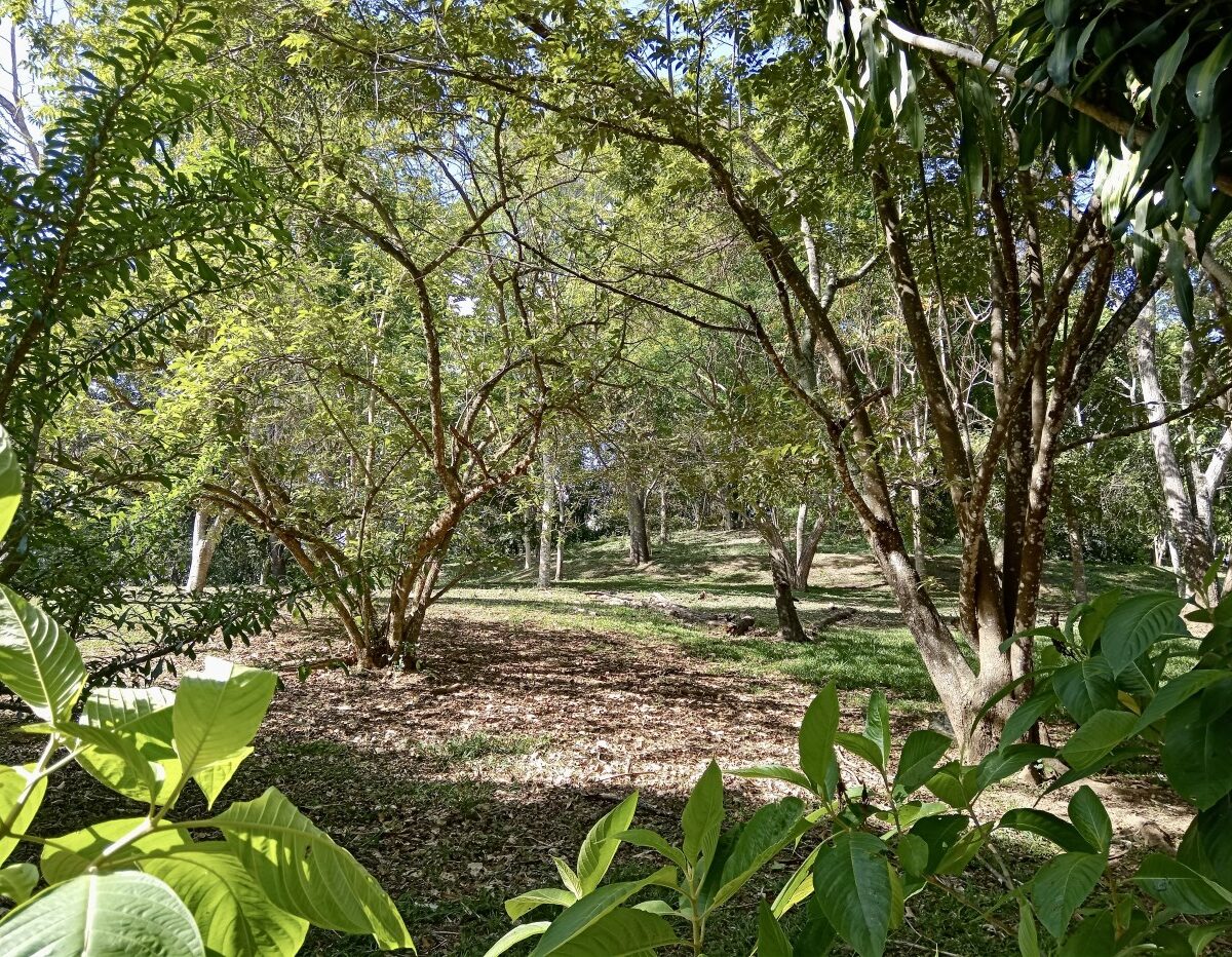 Building Lots for sale in Atenas Costa Rica