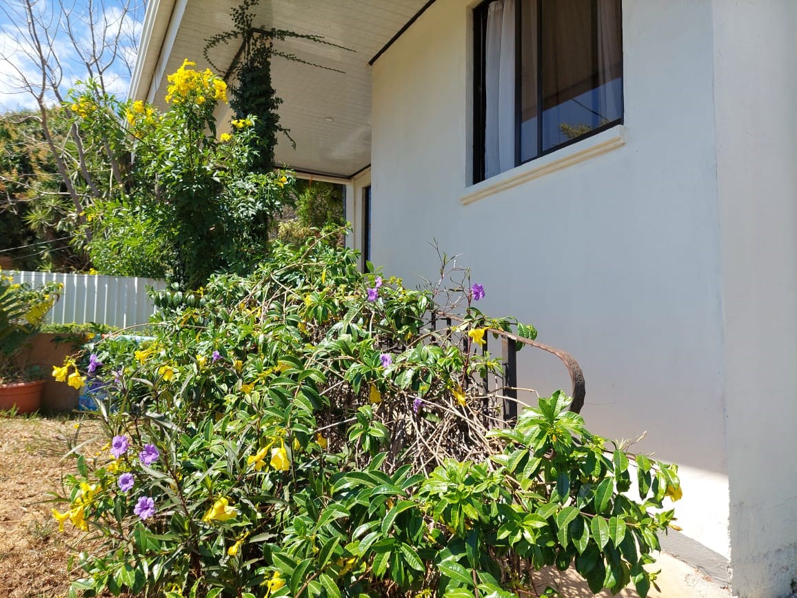 Homes for sale in Atenas Costa Rica