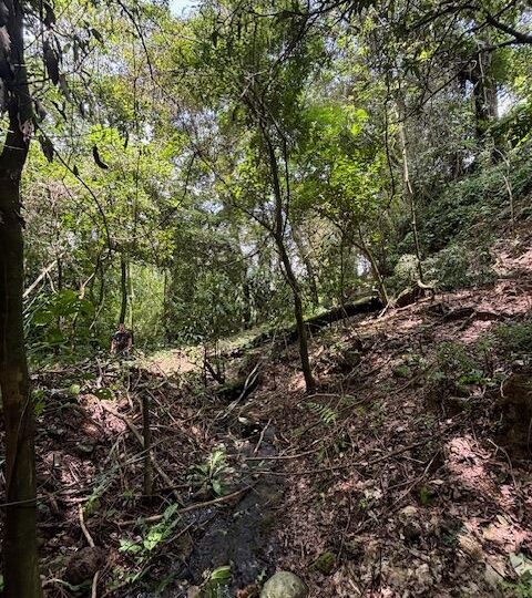 Homes for sale in Atenas Costa Rica