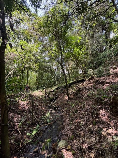 Homes for sale in Atenas Costa Rica