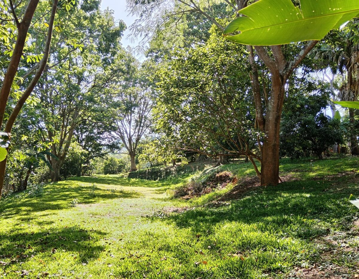 Building Lots for sale in Atenas Costa Rica