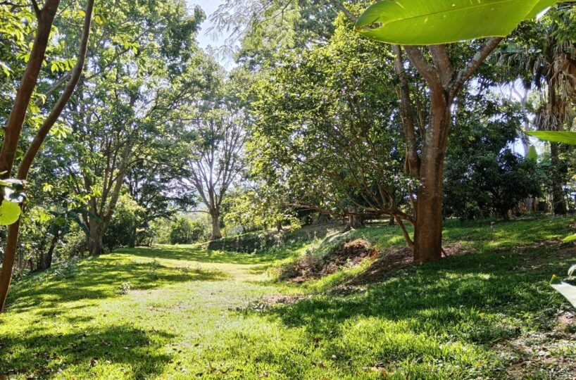 Building Lots for sale in Atenas Costa Rica