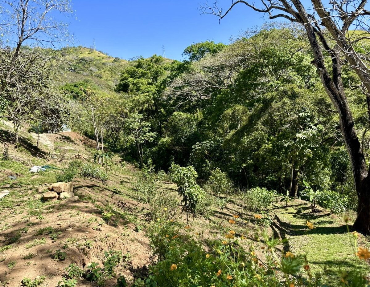 Building Lots for sale in Atenas Costa Rica