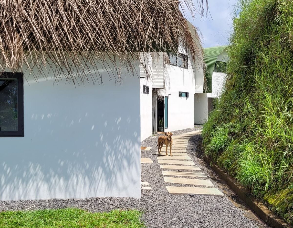 Homes for sale in Atenas Costa Rica