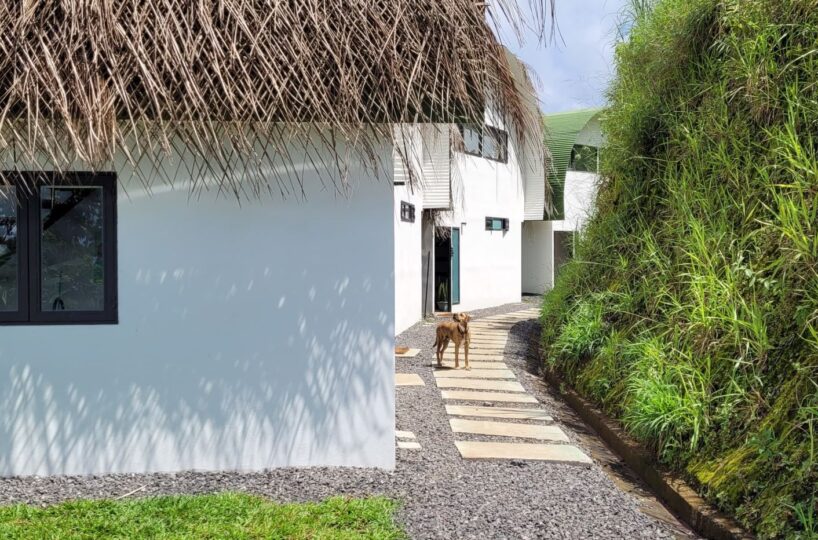 Homes for sale in Atenas Costa Rica