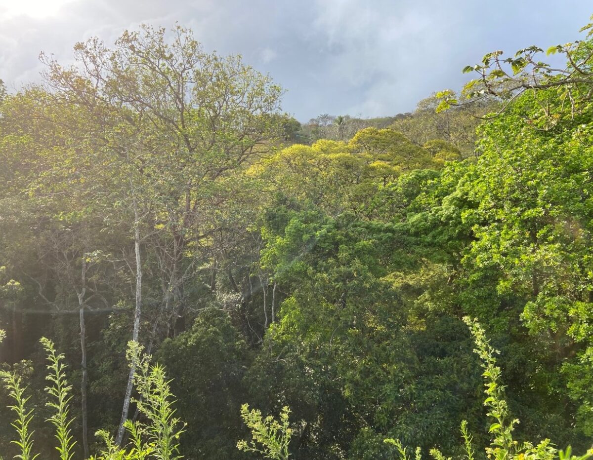 Building Lots for sale in Atenas Costa Rica