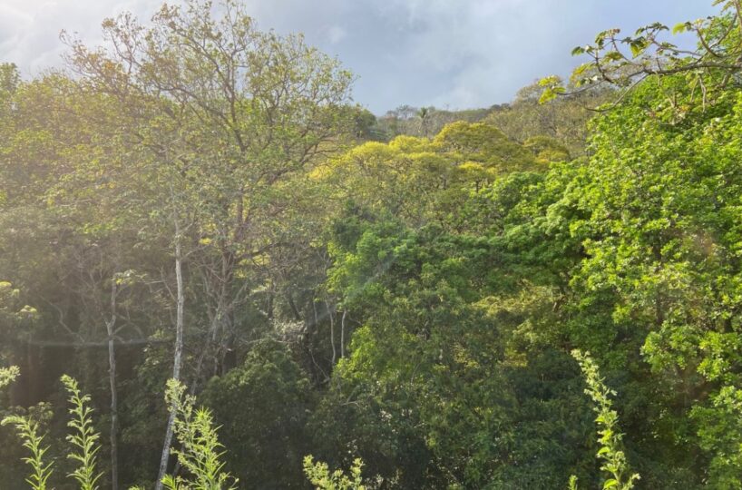 Building Lots for sale in Atenas Costa Rica