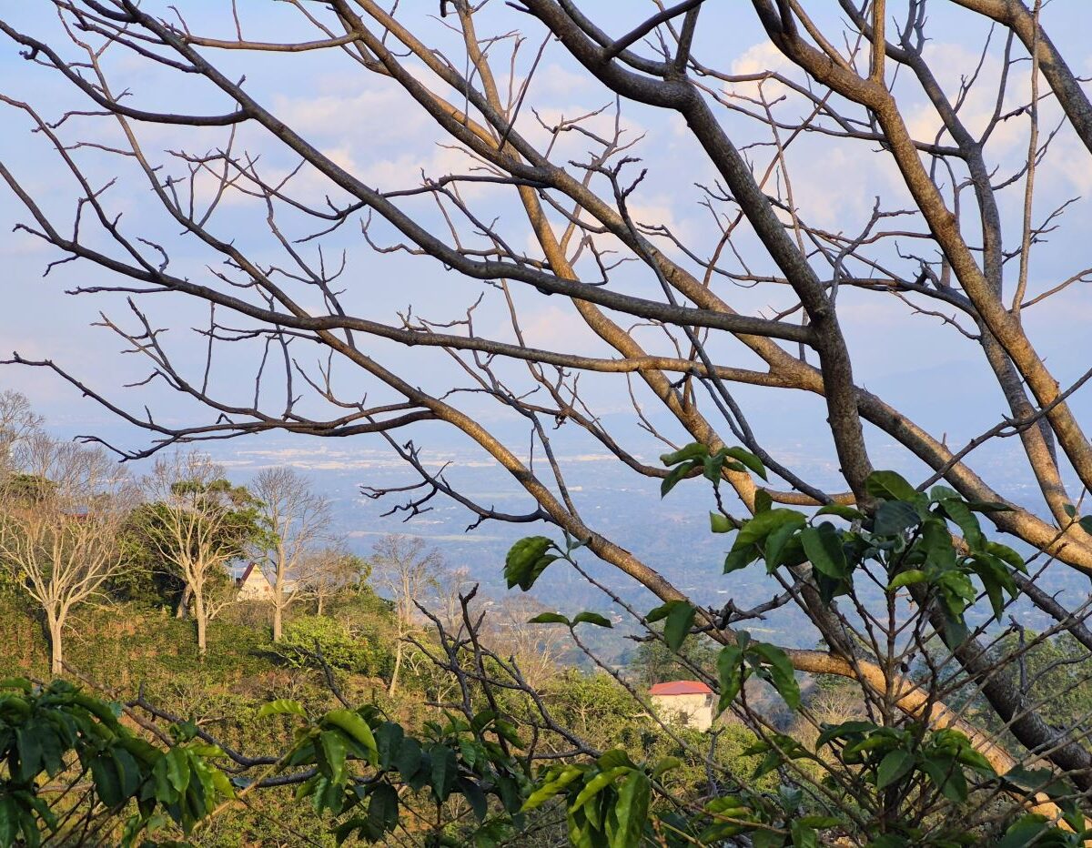 Building Lots for sale in Atenas Costa Rica