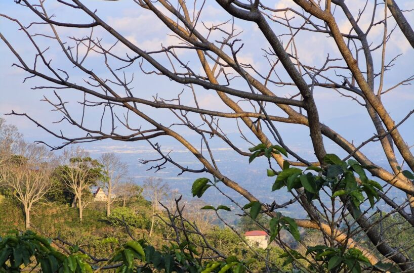 Building Lots for sale in Atenas Costa Rica