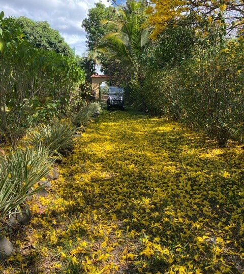 Homes for sale in Atenas Costa Rica