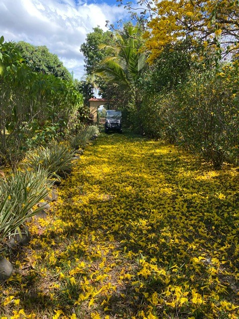 Homes for sale in Atenas Costa Rica