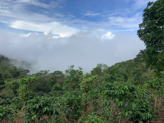 Building Lots for sale in Atenas Costa Rica