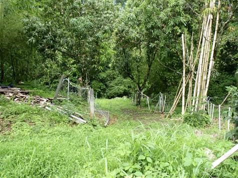 Homes for sale in Atenas Costa Rica