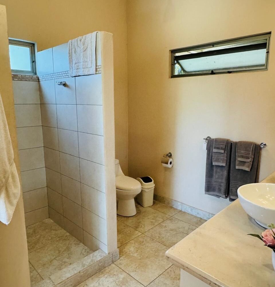 Homes for sale in Atenas Costa Rica