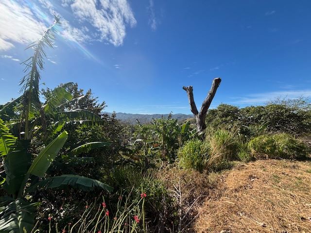 Building Lots for sale in Atenas Costa Rica