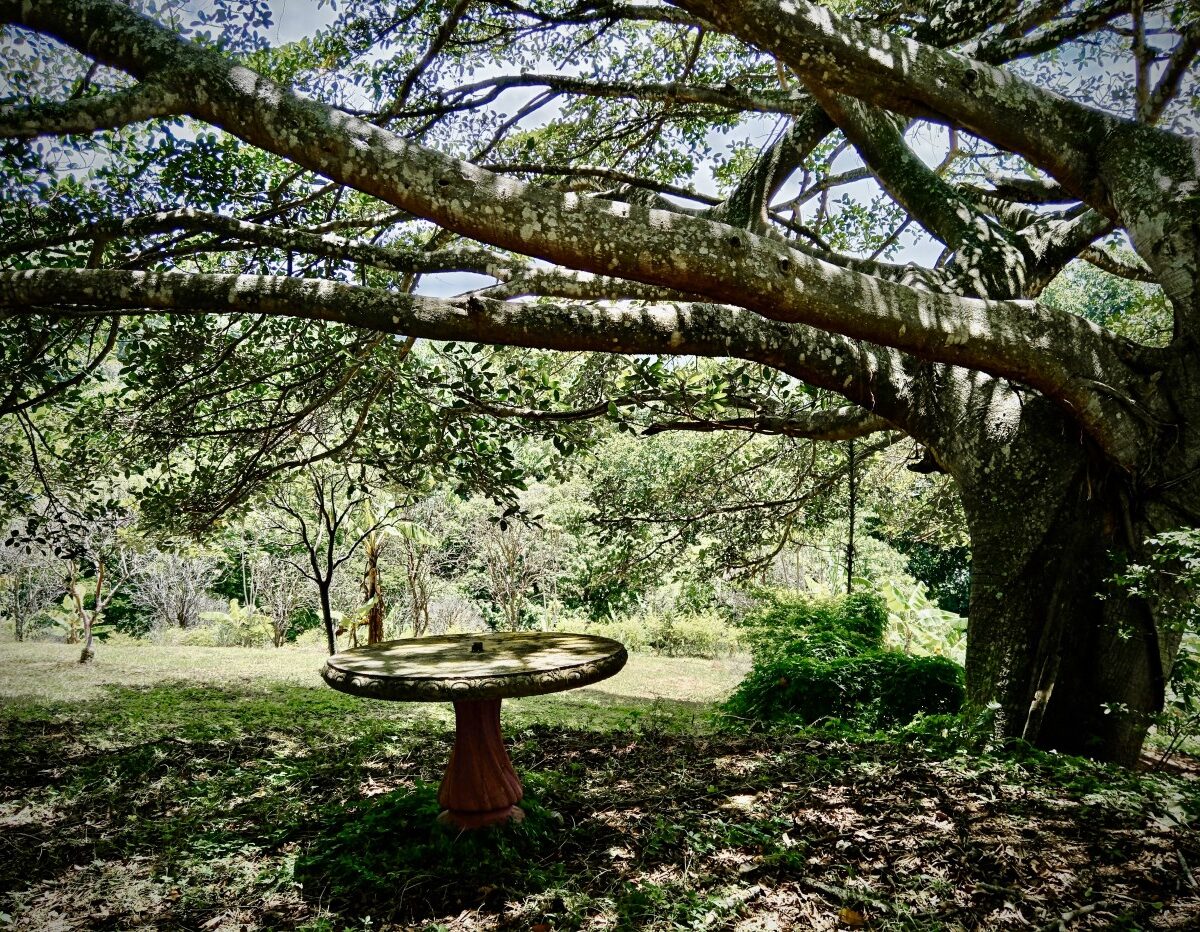 Building Lots for sale in Atenas Costa Rica