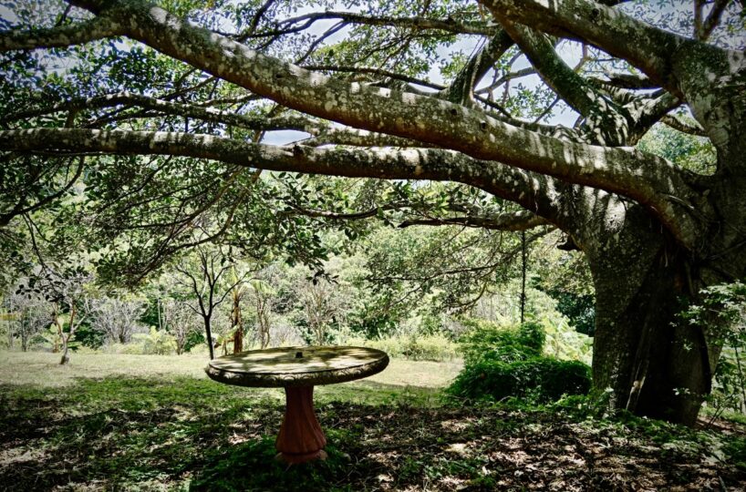 Building Lots for sale in Atenas Costa Rica