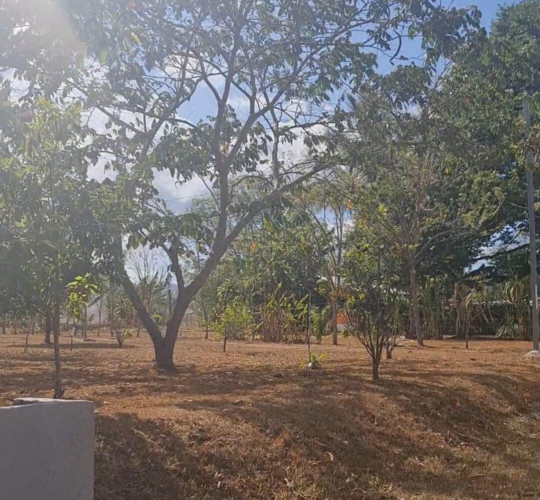 Homes for sale in Atenas Costa Rica