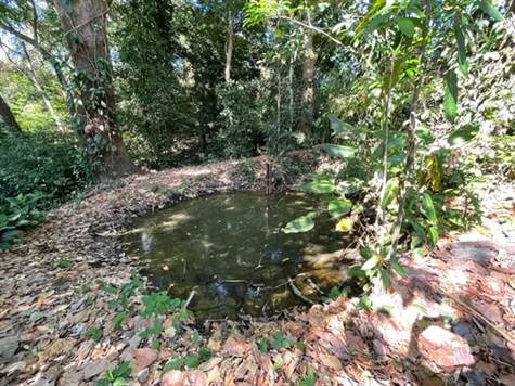 Building Lots for sale in Atenas Costa Rica