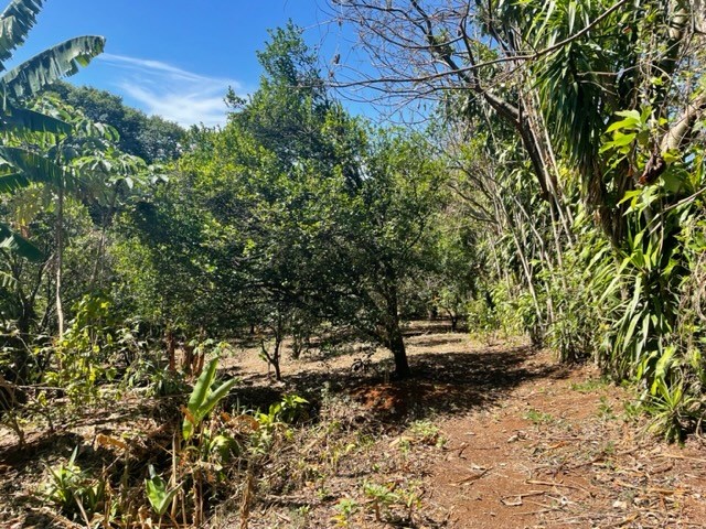 Homes for sale in Atenas Costa Rica