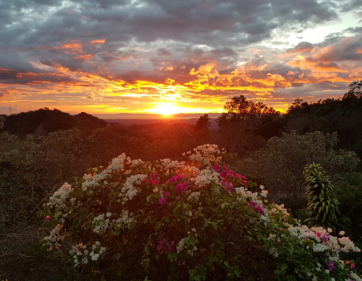 Homes for sale in Atenas Costa Rica