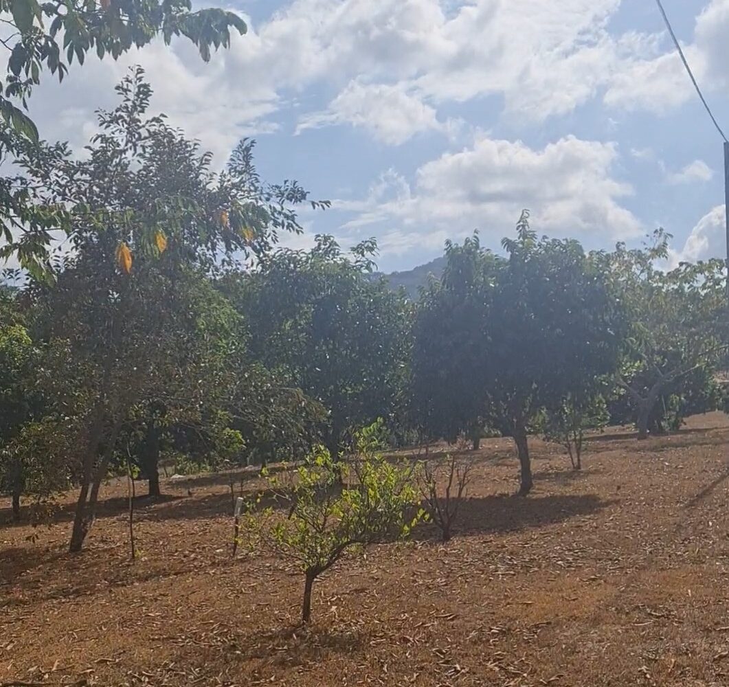 Homes for sale in Atenas Costa Rica