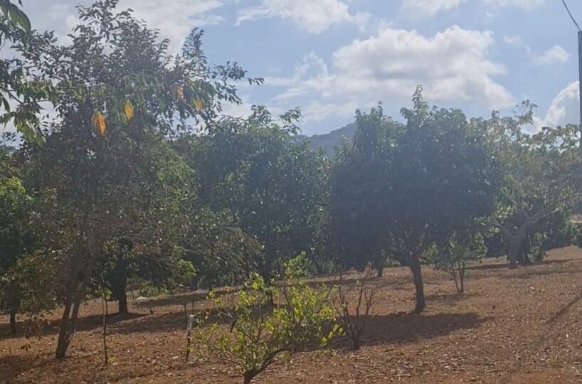 Homes for sale in Atenas Costa Rica