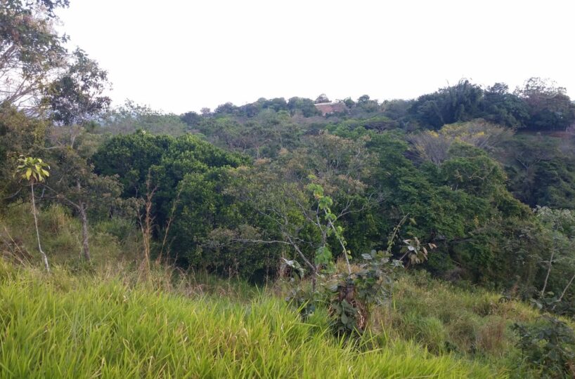Building Lots for sale in Atenas Costa Rica