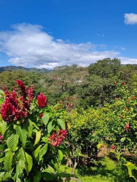 Homes for sale in Atenas Costa Rica