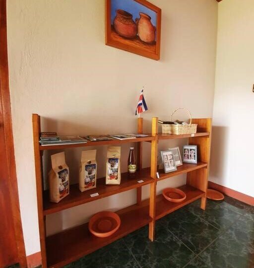 Homes for sale in Atenas Costa Rica