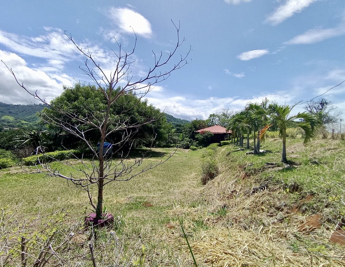 Building Lots for sale in Atenas Costa Rica