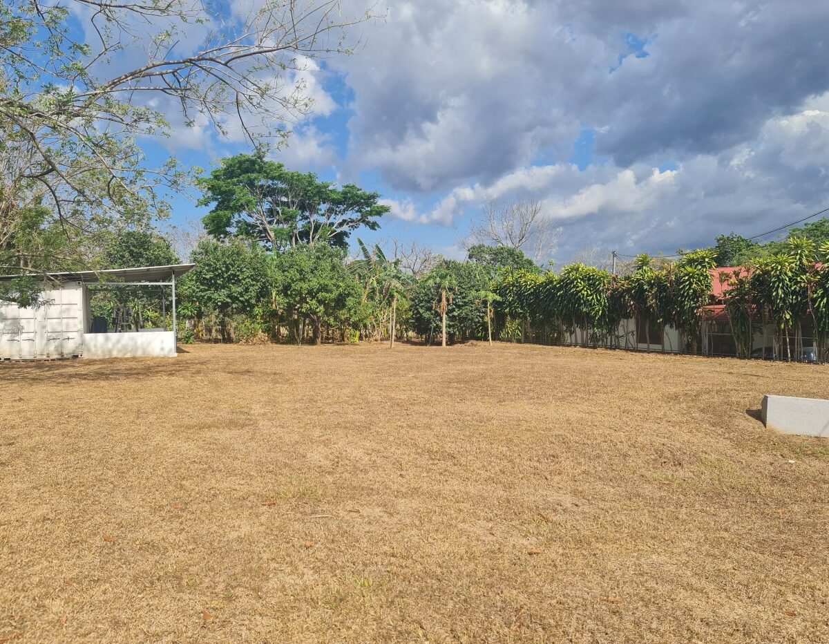 Homes for sale in Atenas Costa Rica