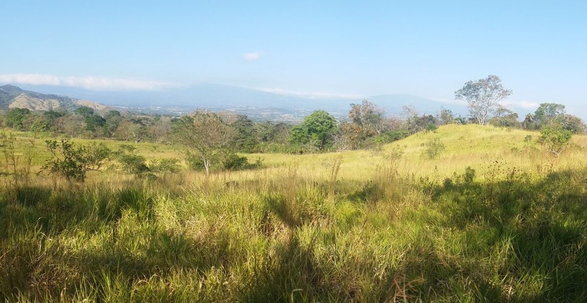 Building Lots for sale in Atenas Costa Rica