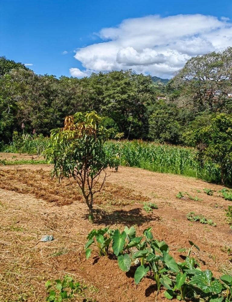 Homes for sale in Atenas Costa Rica