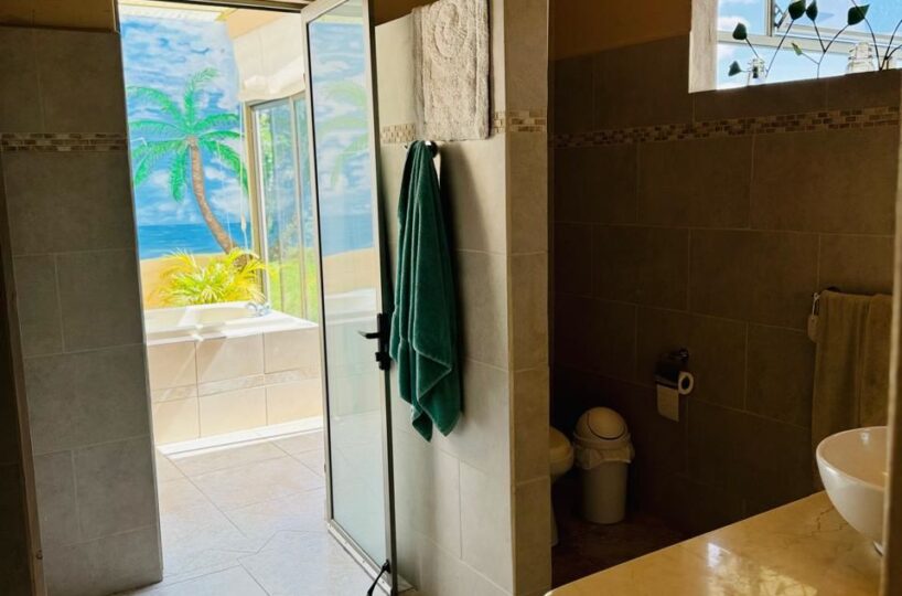 Homes for sale in Atenas Costa Rica