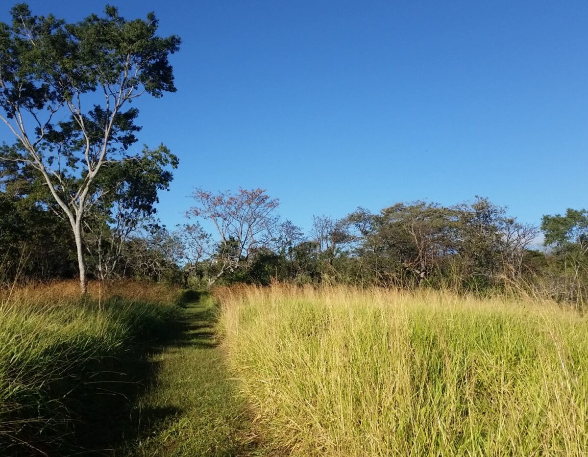 Building Lots for sale in Atenas Costa Rica