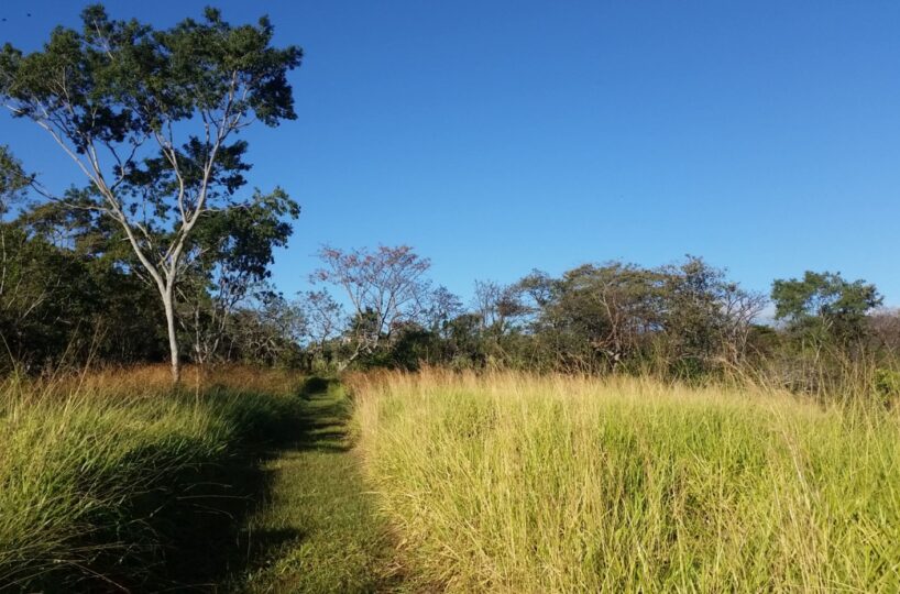 Building Lots for sale in Atenas Costa Rica