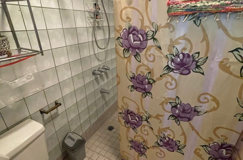 Homes for sale in Atenas Costa Rica