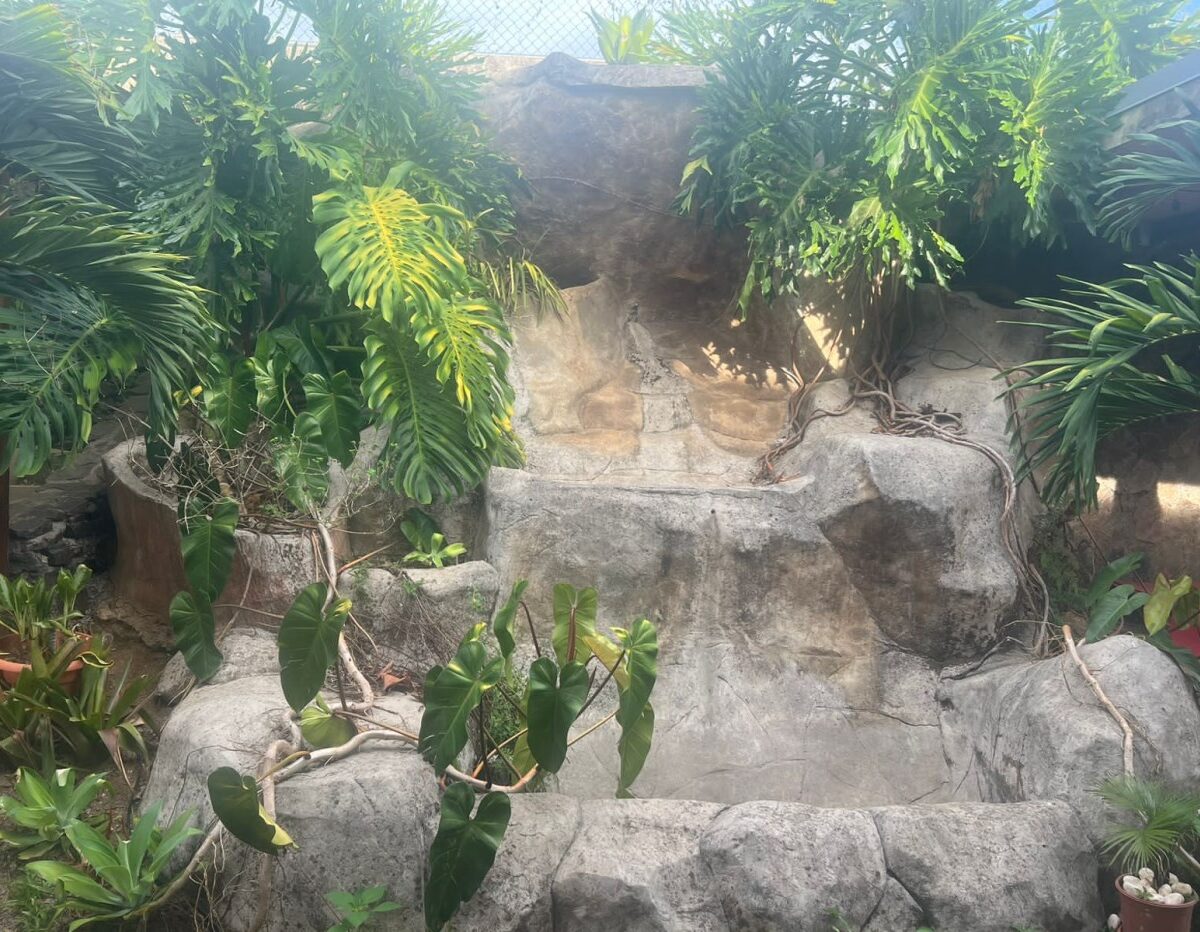 Homes for sale in Atenas Costa Rica